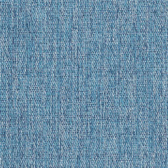 Myosotis colourway